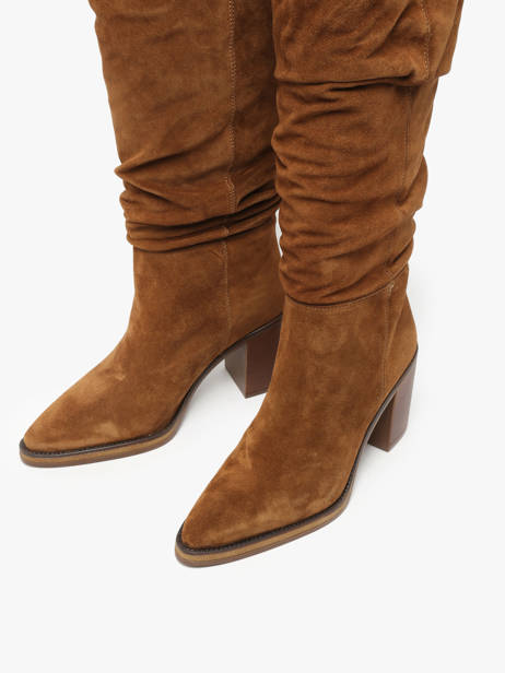 Laarzen Met Hak Camden Uit Leder Alpe Bruin women 52191101 ander zicht 4